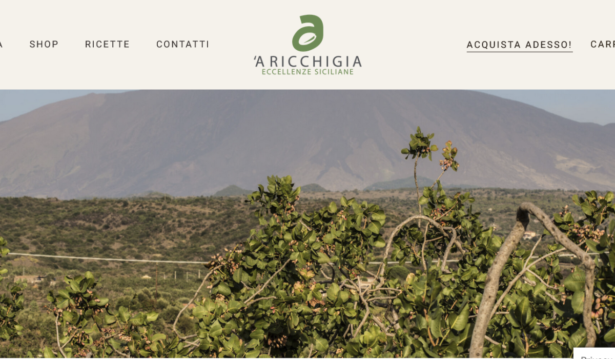 Screenshot 2025-05-13 at 13-44-53 Home - Aricchigia