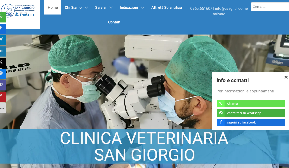 Screenshot 2025-05-20 at 17-10-18 Clinica Veterinaria San Giorgio a Reggio Calabria Animalia Gruppo